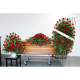 Funeral Flower Packages | Funeral Flowers
