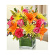Sympathy Flowers | Funeral Flowers