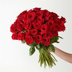 Single Stem Roses (Red) | Fresh Flowers (FOWR1)