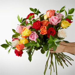 Roses Mixed Colors | Fresh Flowers