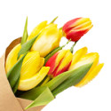 Get Well Flowers
