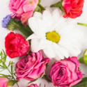 Fresh Flowers